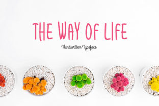 Discover The Way of Life: A Handwritten Font for Editorial Elegance