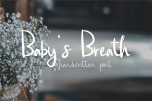 Elevate Your Brand with Baby s Breath Font