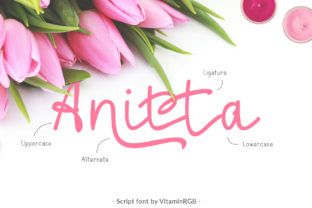 Enhance Your Campaigns with Anitta Script Font